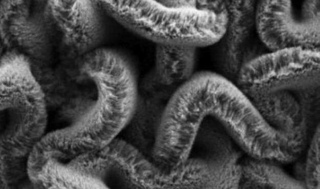 行业新闻：可拉伸的超等电容器，，，为柔性可衣着装备铺路